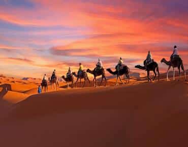 sahara desert