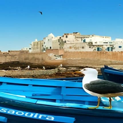 bleu sky essaouira